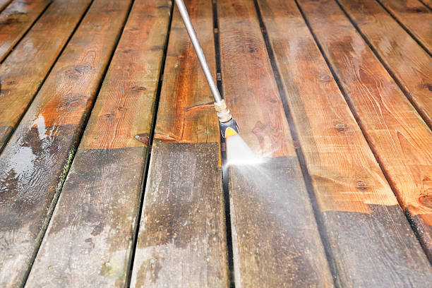 Best Solar Panel Cleaning  in Holly Springs, NC